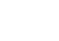 NC DINOS